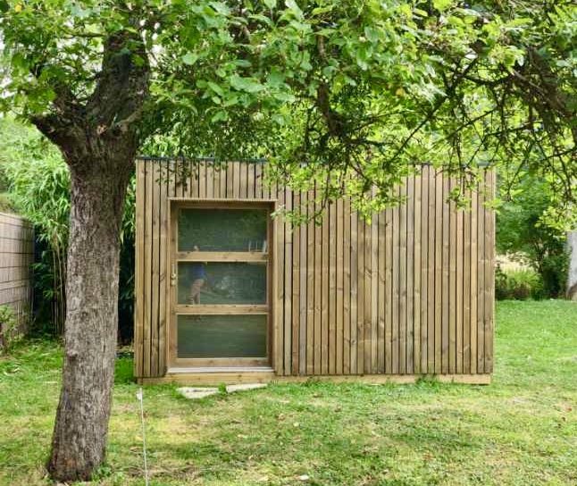 Abri de jardin moderne en bois sous un arbre vert.